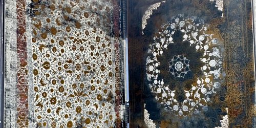 407272964_692774226288147_8819351448801368732_n