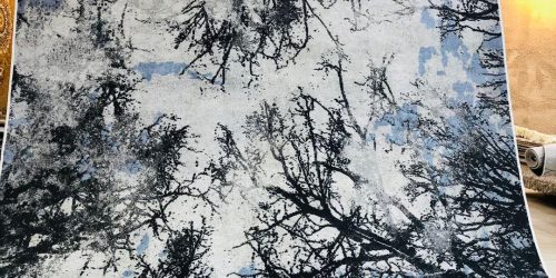 433572267_751420657090170_7081375132535752419_n